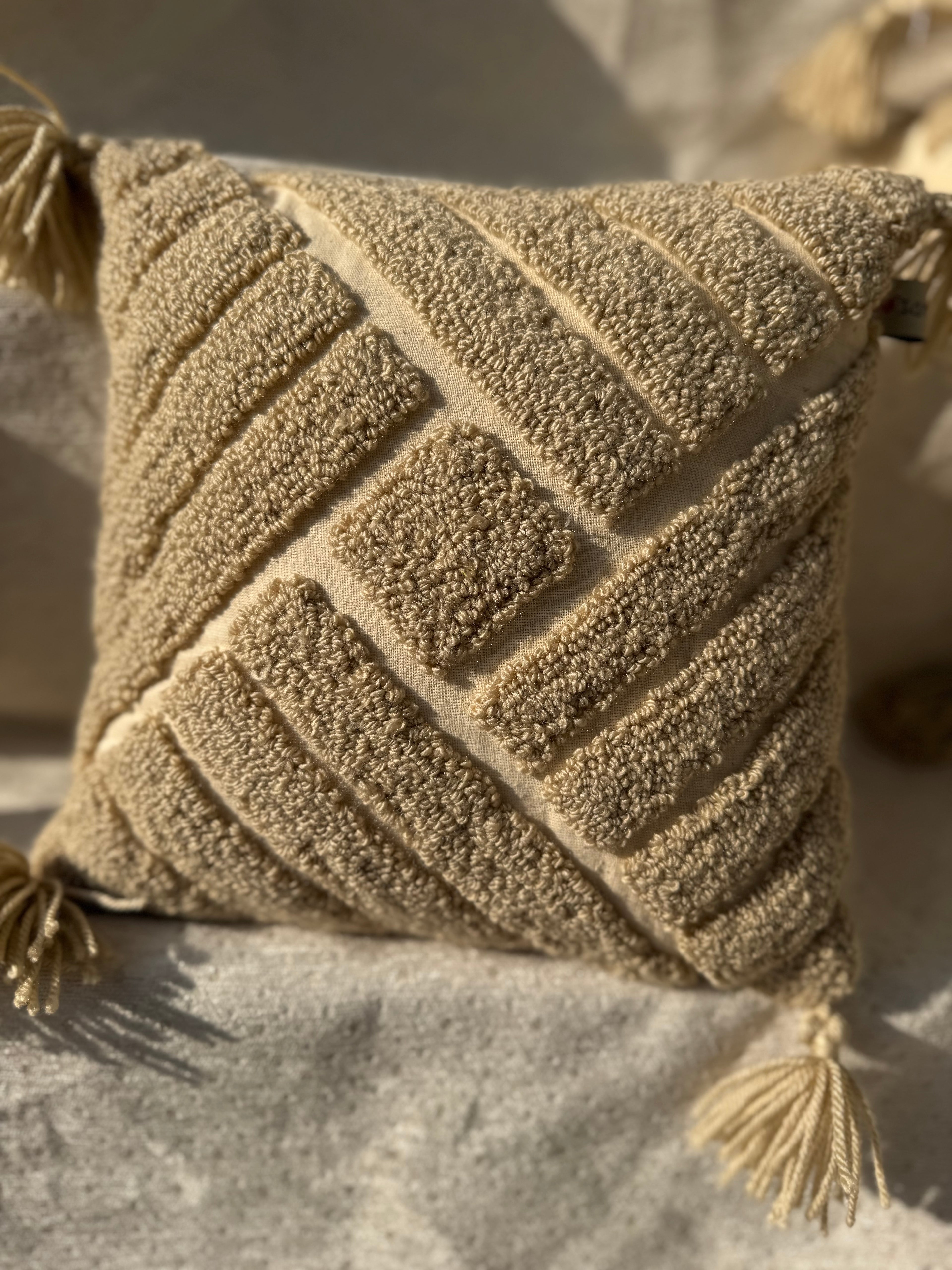 MODERN BOHO MINIMILIST PLUSH CUSHION
