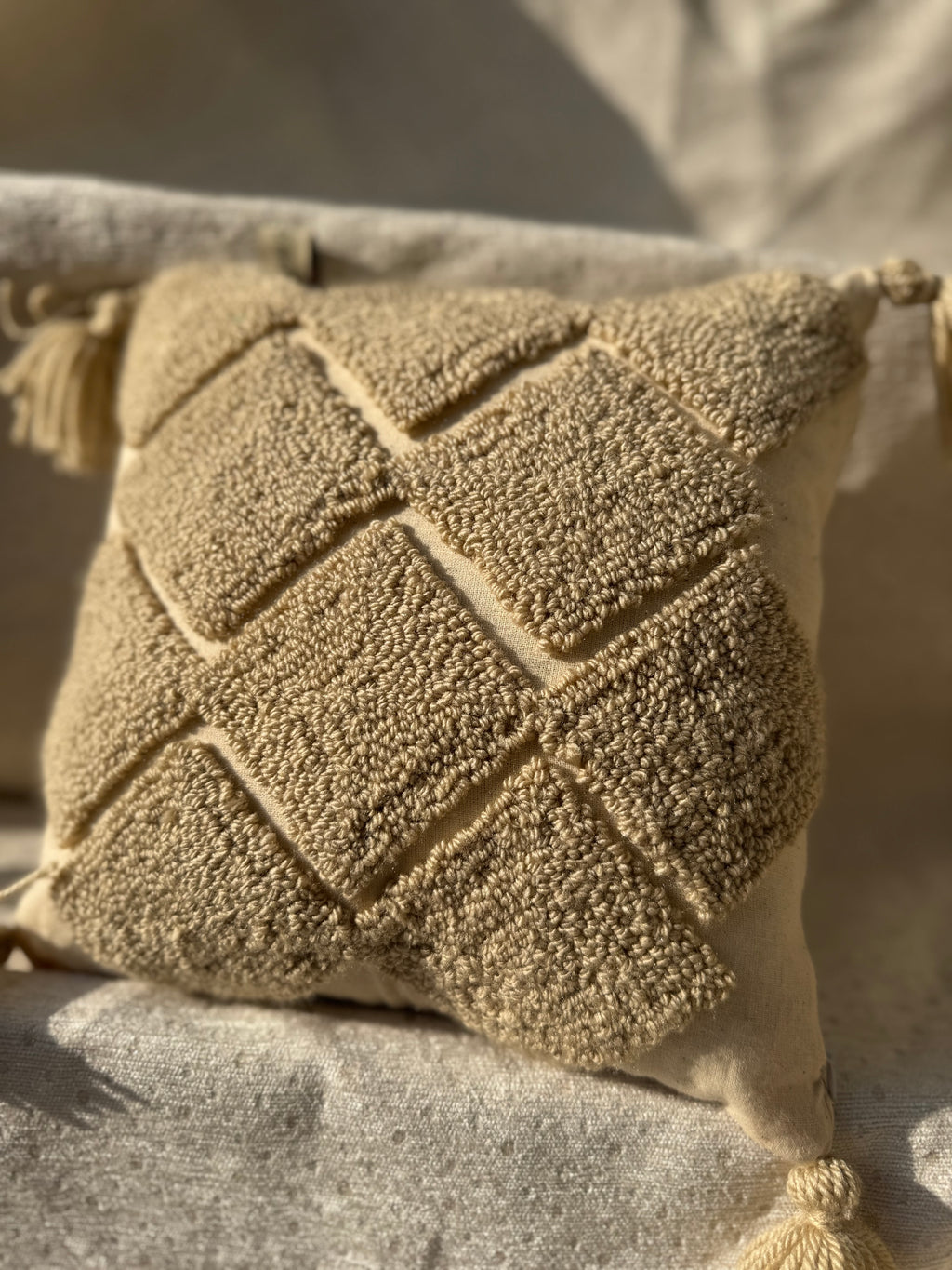 MODERN BOHO MINIMILIST PLUSH CUSHION