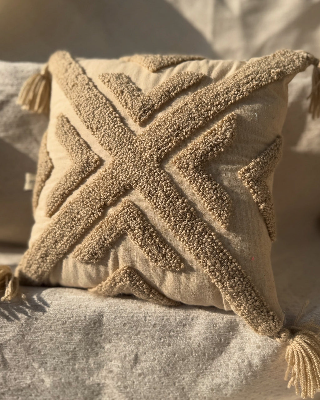 MODERN BOHO MINIMILIST PLUSH CUSHION