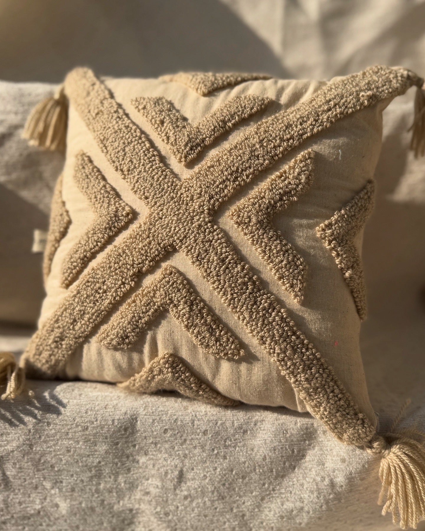 MODERN BOHO MINIMILIST PLUSH CUSHION