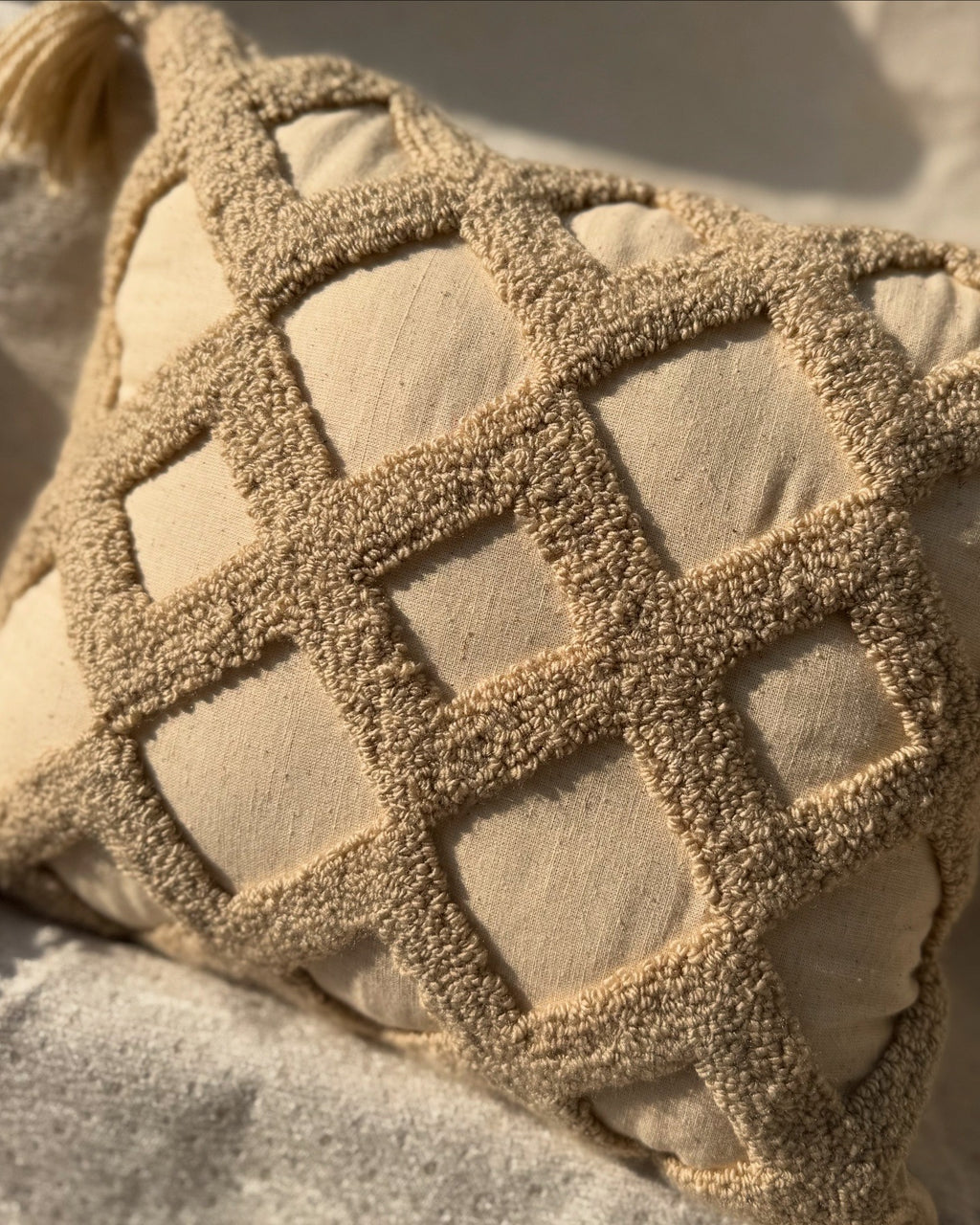 MODERN BOHO MINIMILIST PLUSH CUSHION