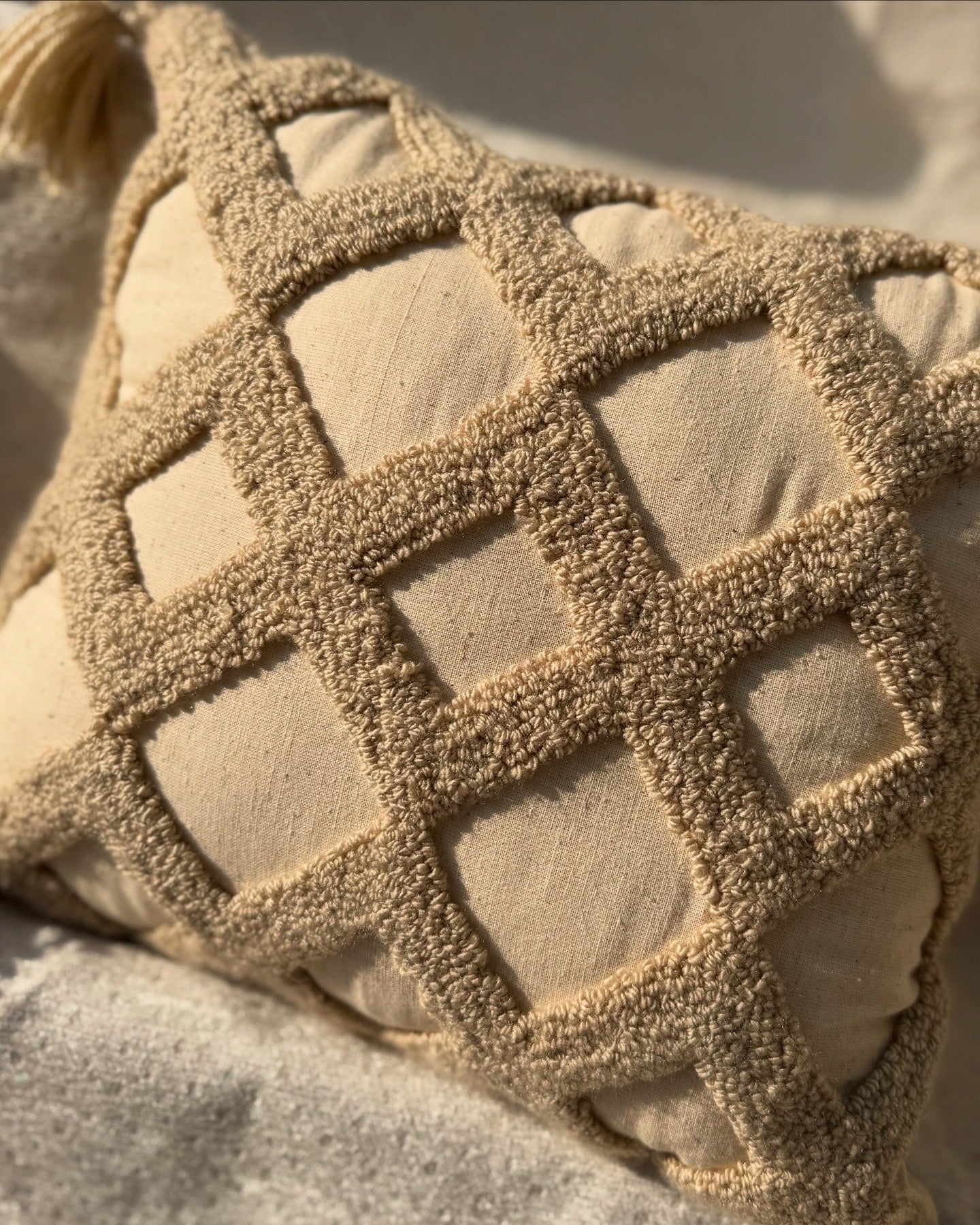 MODERN BOHO MINIMILIST PLUSH CUSHION